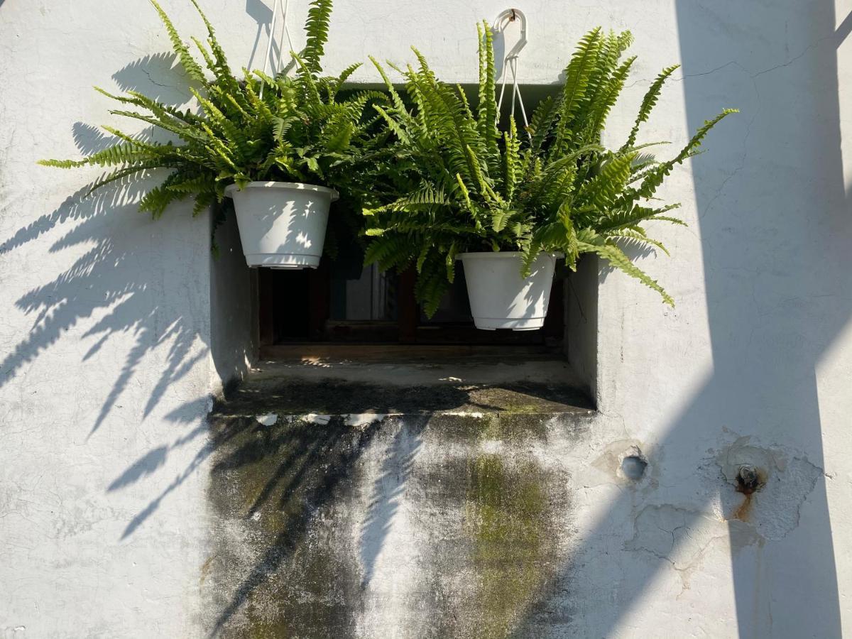 緩緩歸 Slow Living Тайнан Екстериор снимка